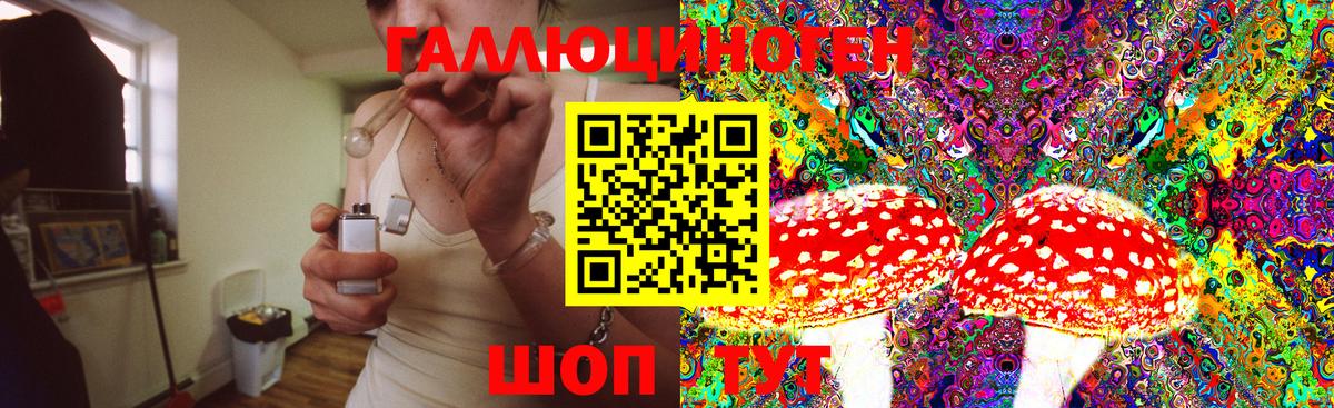 цены наркотик  Мурманск  Галлюциногенные грибы GOLDEN TEACHER 