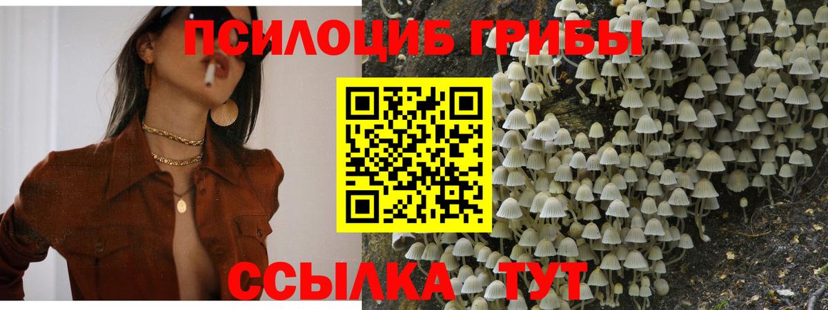 Мурманск  Галлюциногенные грибы Psilocybine cubensis  Вход с VPN 