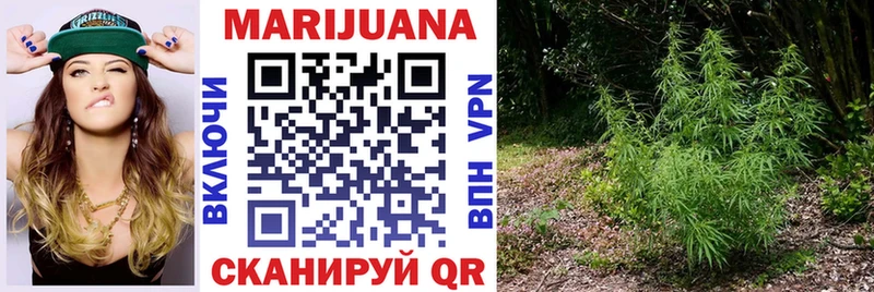 блэк спрут tor  Мурманск  Бошки Шишки планчик 